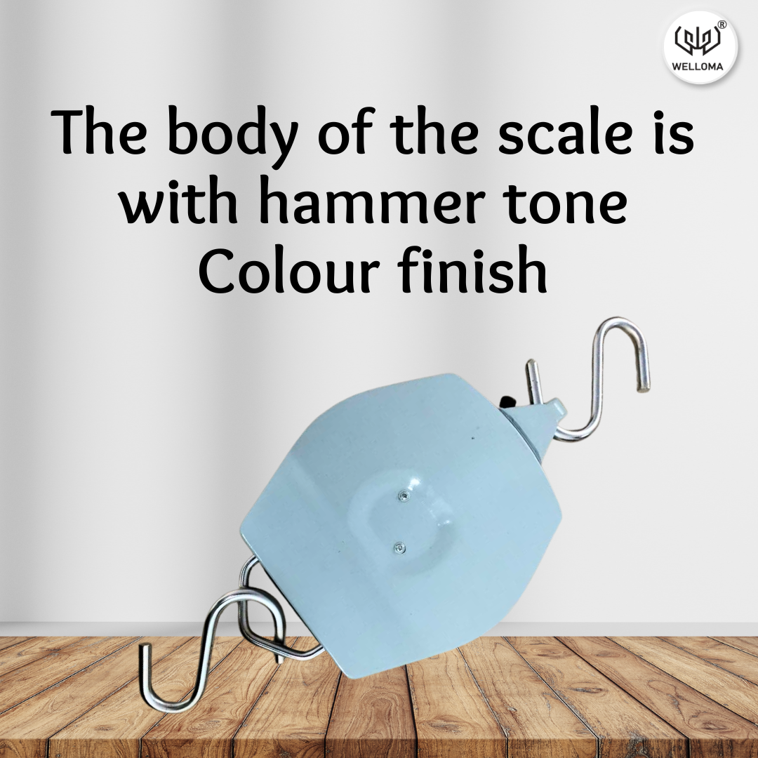 Hanging Weighing Scale upto 200 Kg
